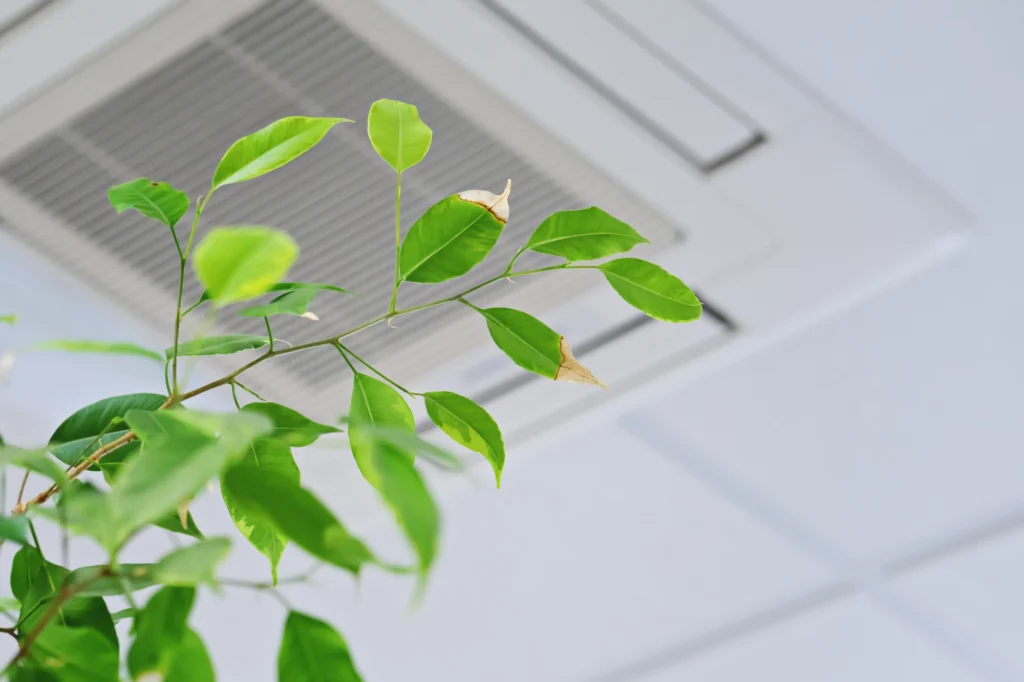 A Healthy Home: 7 Tips for How to Improve Indoor Air Quality | Infinity Texas Air